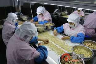 平度市场监管局开展食品生产企业公开评价暨 透明工厂体验日 活动