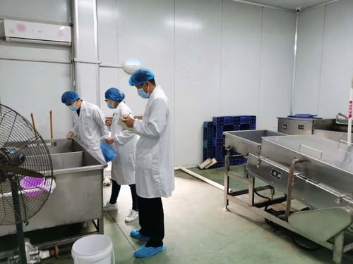 青岛胶州市场监管局组织食品生产企业开展食品标签标识自查
