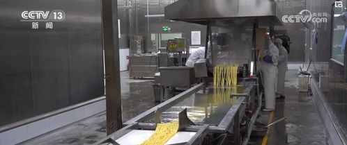 走出实验室的 新质生产力 开辟未来食品 新赛道