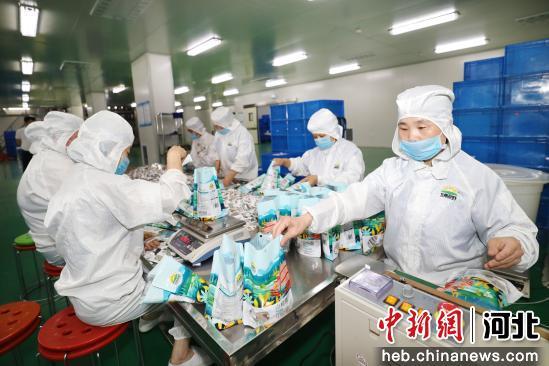 河北廊坊 特色产业集群成为县域高质量发展 主引擎