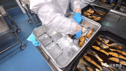 日本的孩子不吃盒饭,来看看日本的食品加工厂,是如何制作中小学生午餐的