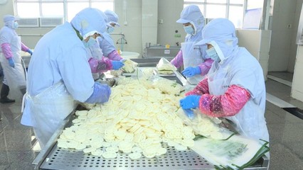 泰州新增两家出口农产品示范基地