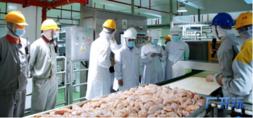 乖宝宠物食品集团与凤祥食品鲜肉供应链达成战略合作