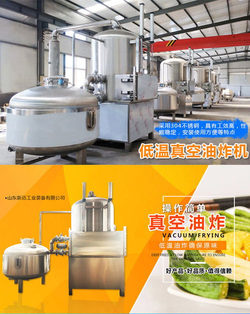 山东新迈工业 福建果蔬脆片真空油炸机 果蔬脆片加工设备哪家好高清图片 高清大图
