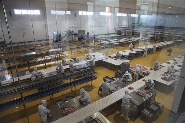 从牧场到餐桌 额尔敦羊业打造安全食品生产供应链