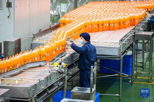 新华全媒 丨湖南宁乡 食品企业加工忙