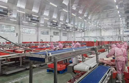 副市长陈晓强到夏津县食品生产经营企业督导调研