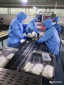 定西市市场监管局合理引导 积极推动食品药品生产经营企业有序复工复产复业