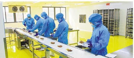 李钦辉调研总部型企业疫情防控和复工复产情况