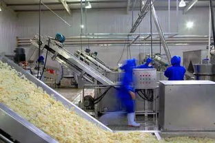 食品加工 生产企业消防安全防范措施