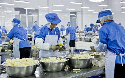 收藏版 食品厂药品生产车间墙面材料对比大汇总