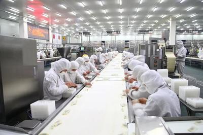 图为思念食品生产车间里,工人们在制作面点。河南省委宣传部供图