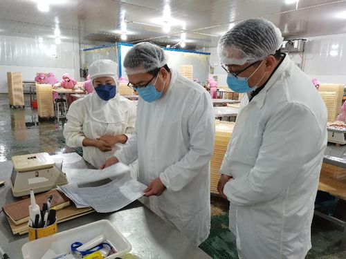 守护舌尖安全,新泰对41家冷链食品生产企业进行专项检查