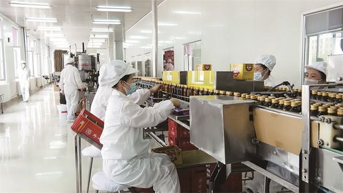 振兴发展闯新路 看通化县经济高质量发展的生动实践