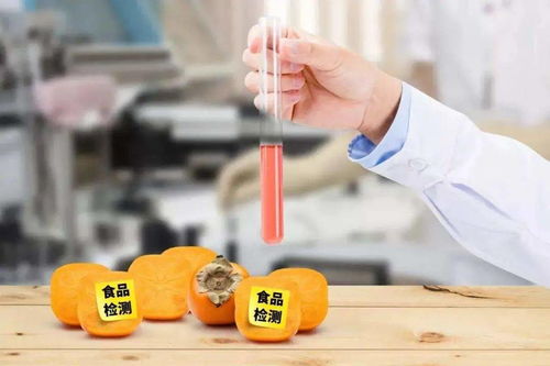 江苏开展食品安全专项抽检 合格率99.38
