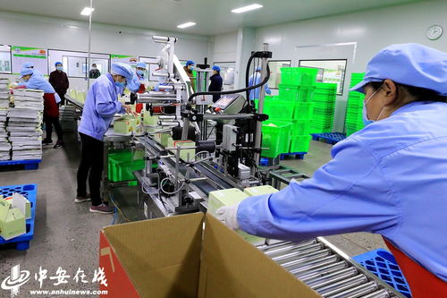 庐江 食品企业复工复产保供应