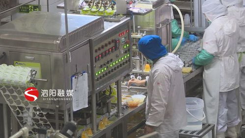 泗阳 企业忙生产赶订单冲刺 开门红