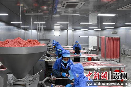 道真 赶制订单 冲刺新年 开门红