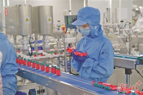 锚定 百千万工程 开足马力 加速跑 看庵埠镇如何 强筋健骨 做优做强城区镇