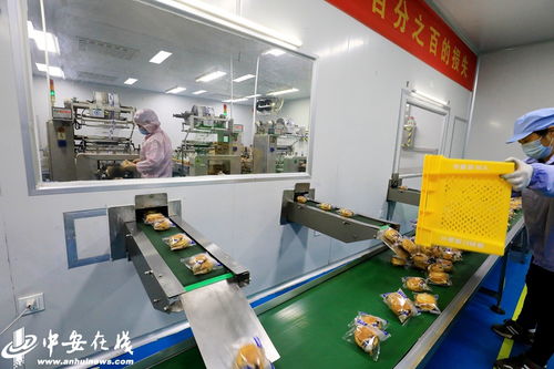 庐江 食品企业复工复产保供应