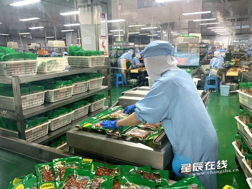 湘 当自觉自信自强 涟源市桥头河镇 小蔬菜 变成 大产业