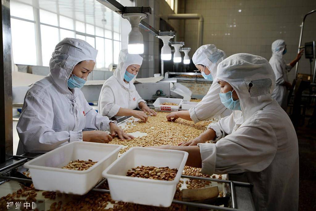 临沂:食品企业工人深加工花生 提高农产品附加值_生产_常规_国家