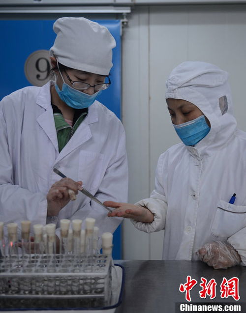 探访航空食品厂餐食制作及装配过程