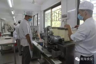 南海区人民政府门户网站