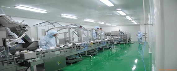 食品gmp是什么标准