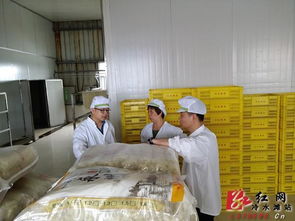 冷水滩区开展食品生产企业安全风险隐患大排查 严守食品安全底线