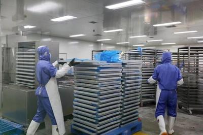 年产1500余吨!新区宠物食品产业再添生力军!