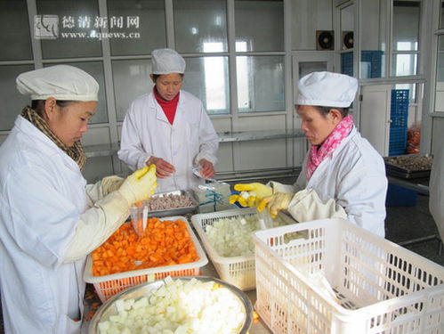 一品食品开发快餐汤料