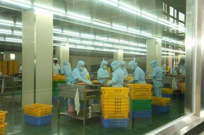 东莞道滘:16家企业荣获2022年度食品生产企业质量奖