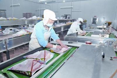 福建三元培根产品供不应求，市场需求持续攀升