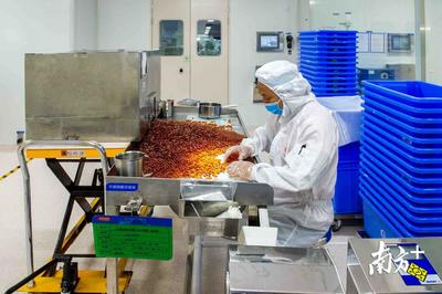 真探现场 | 你吃的保健食品管用吗？市场监管部门突击检查汤臣倍健清真食品生产