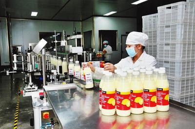 广西-东盟经开区 蓄势赋能 提速争先 清真食品生产新篇章