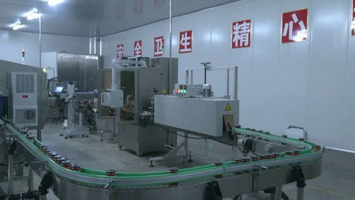 食品产业园全面发力,以虎年之势冲刺开门红