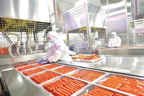 临夏州 产业之花正芬芳 食品生产展新篇