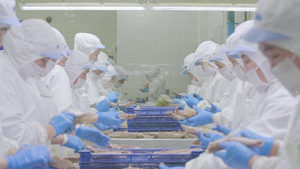 重庆盘龙立交 车流交织的延时奇观与清真食品生产的并行探索