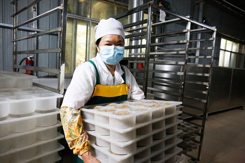 小车间开启乡村大振兴 食品生产的变革力量